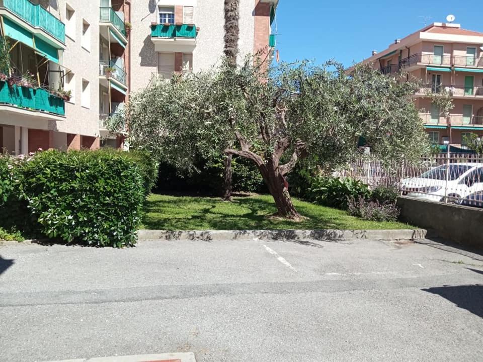 Nonna Pella Appartamenti - Corbezzolo Pietra Ligure Chambre photo